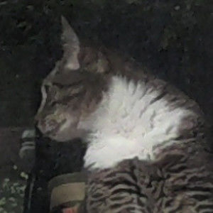 Meet your Posher, Stacie